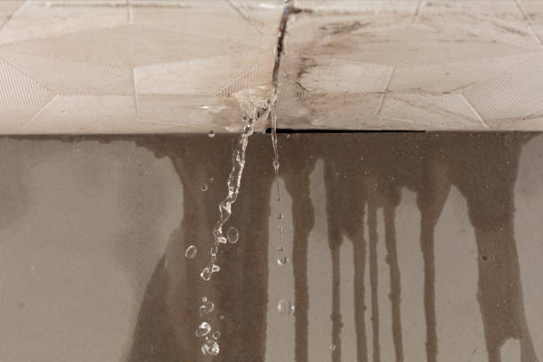 Professional Water Damage Repair technician working in Pinehurst, TX